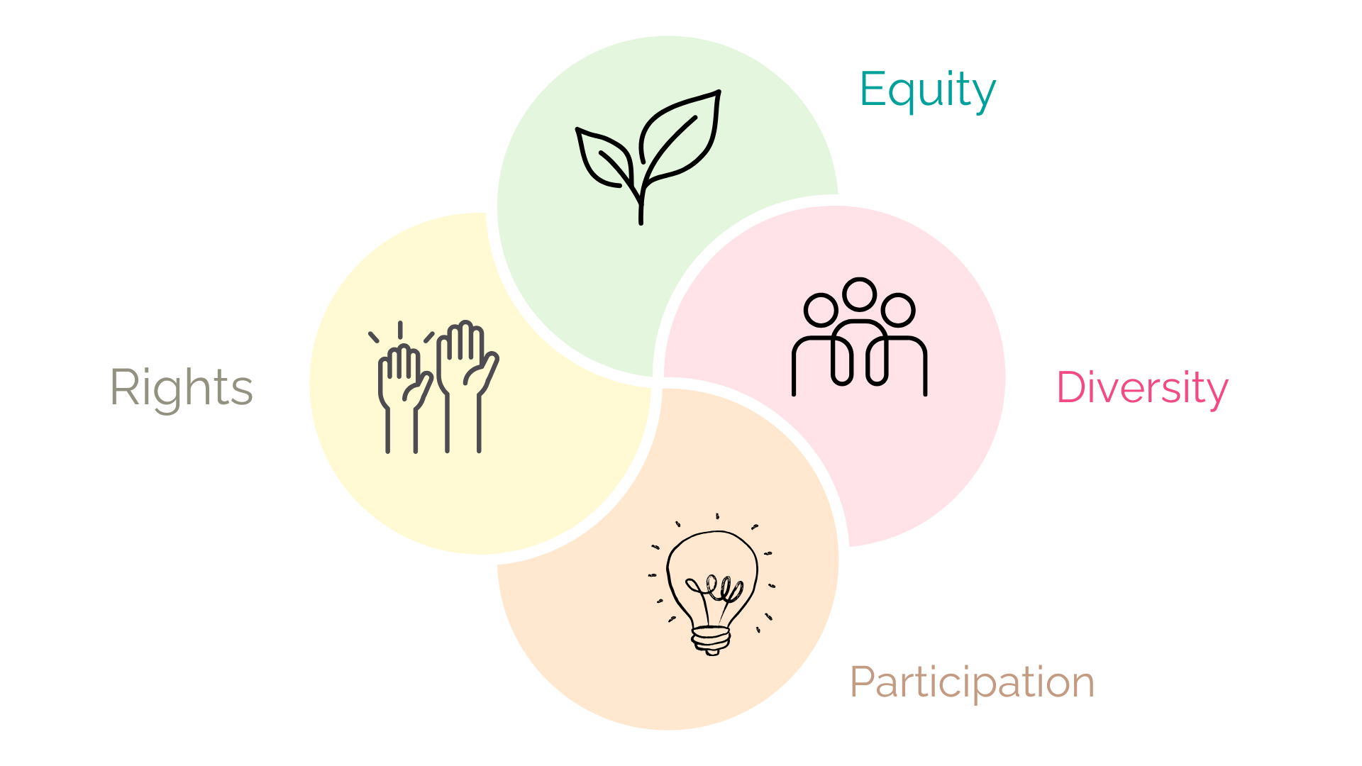 Diagram which shows Equity, Diversity, Participation and Rights with matching icons