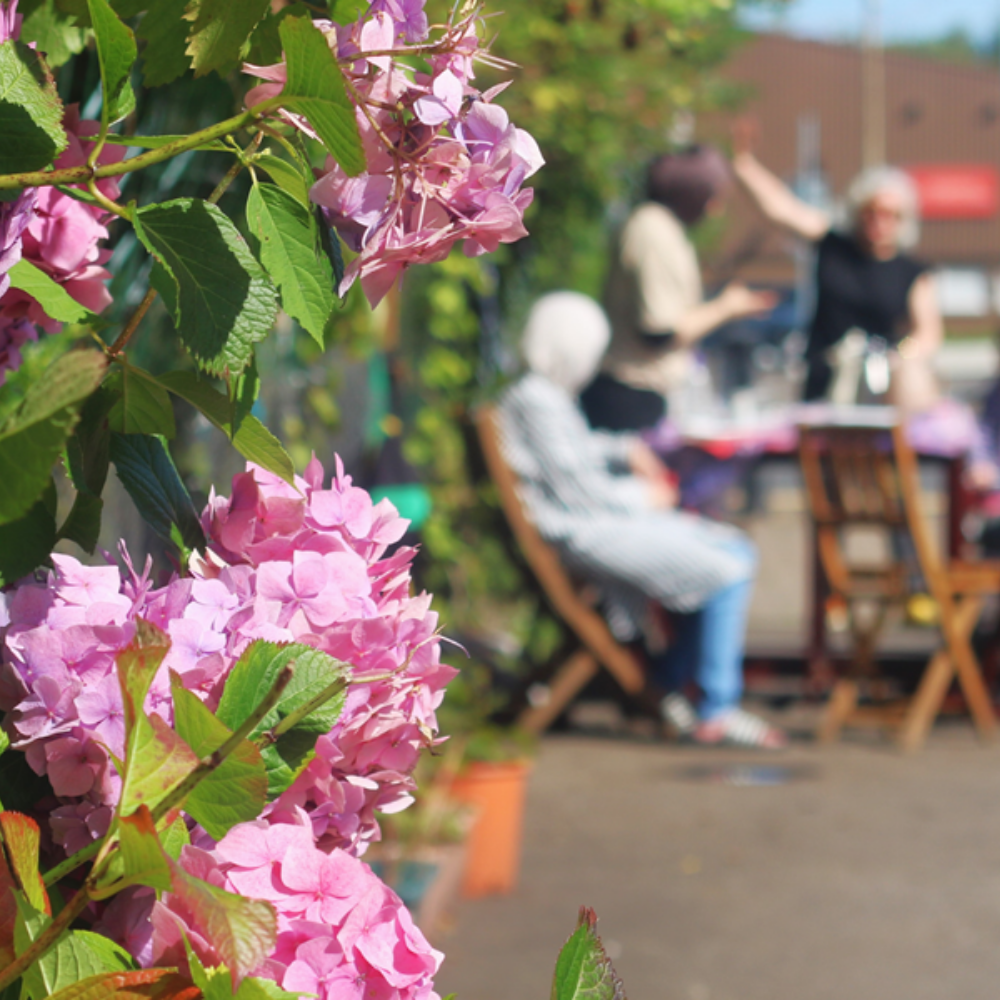 Women's community group meeting outdoors, pink flowers in focus in the foreground